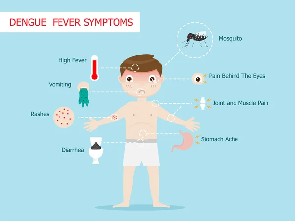 Denga gorączka objawy infografiki — Wektor stockowy