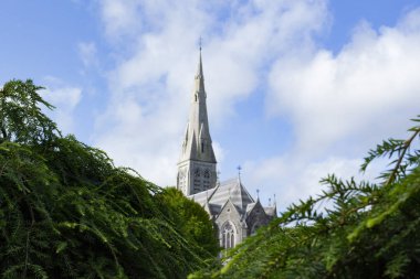 Maynooth Kilisesi çalıların arasında