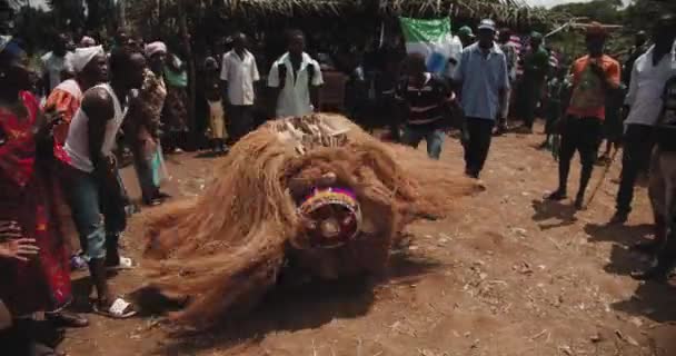 Monstru Dansând Ceremonie Africa — Videoclip de stoc