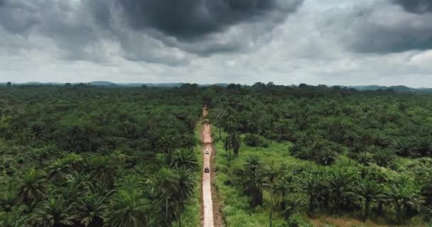 Cars Driving Jungle Cloudy Sky View — Stock Video