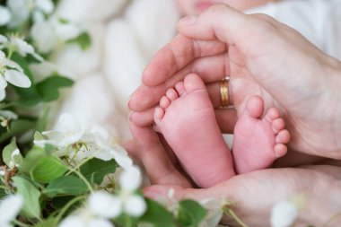 Yeni doğmuş bir bebeğin bacakları ellerinde.