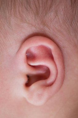 İnsan kulağına yakın çekim