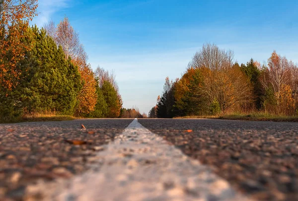 Road Horizon Beautiful Autumn Forest Autumn Landscape — Stock Photo, Image