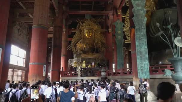 Нара Японія Травня 2018 Всередині Головного Корпусу Todaiji Храм Орієнтир — стокове відео