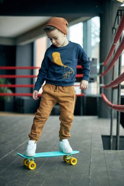 Küçük şık çocuk boksör halkada kaykay