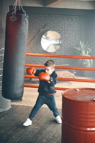Little Boxer Boy Standing Ring Red Gloves Studio Shot — Stock Photo, Image