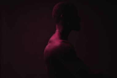 Kırmızı ve Mavi ışıklı portre boyun zinciri ile kas gömleksiz adam genç ve seksi. 