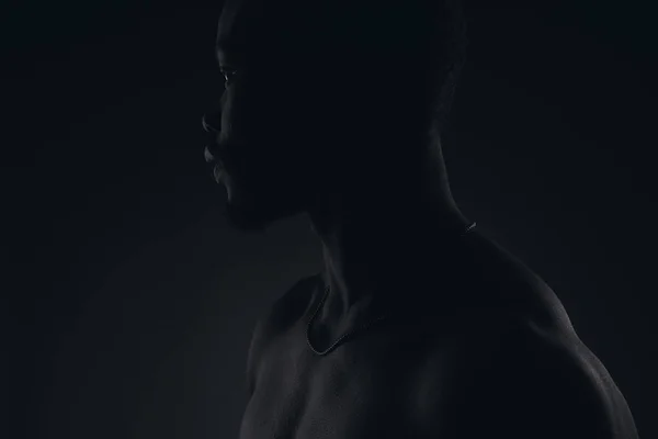 Σκούρο Βασικό Προφίλ Πορτρέτο Του Νεαρό Μυϊκή Shirtless Αρσενικό Μοντέλο — Φωτογραφία Αρχείου
