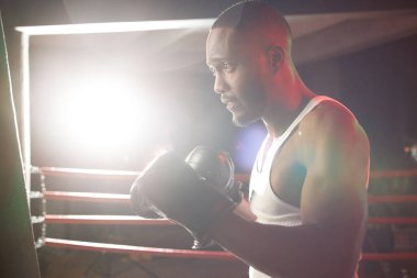 Beyaz singlet boks yüzükteki boksör adam. Atış, arka aydınlatmalı stüdyo.