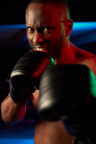 Aggressive muscular man boxing on the ring. Studio shot, red and blue light.