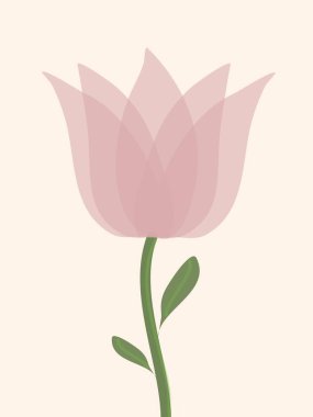 Pembe nilüfer çiçeğinin düz dizaynının taşıyıcısı