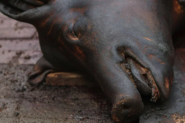 Masacre de cerdo y depilación por fuego. Cabeza de cerdo . — Foto de Stock