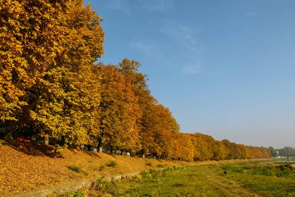 Podzim. žluté stromy u řeky proti modré obloze. — Stock fotografie