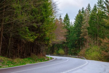 Dağlardaki ormanlardan geçen boş dolambaçlı yol.