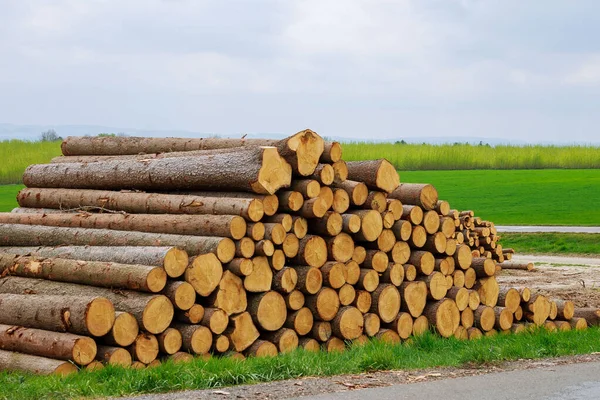 Op het gras bij de weg ligt een stapel houten stammen. Het probleem van de ontbossing. Ecologisch probleem. — Stockfoto
