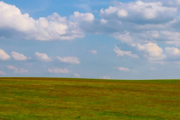 Grüne Wiese vor blauem Himmel — Stockfoto