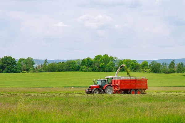 De oogstmachine verzamelt vers gemaaid gras in een tractor trailer. — Stockfoto