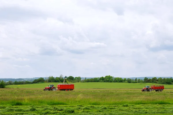 수확꾼이 방금 자른 풀을 트랙터 트레일러에 모은다. — 스톡 사진