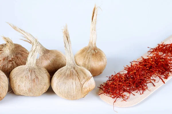 Bulbs of crocus sativus, dry spice saffron in wooden spoon on a white background. Planting crocus sativus. — Stock Image Bulbs Crocus Sativus Dry Spice Saffron Wooden Spoon White Background Stock Photo