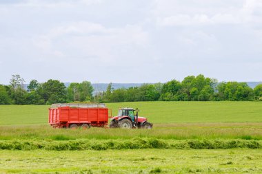 Hasat makinesi nakliye için traktör römorkunda taze kesilmiş çimen topluyor. Haymaking.