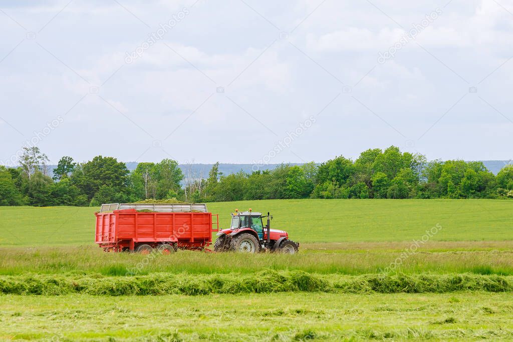 The harvester collects freshly cut grass in a tractor trailer for transportation. Haymaking.