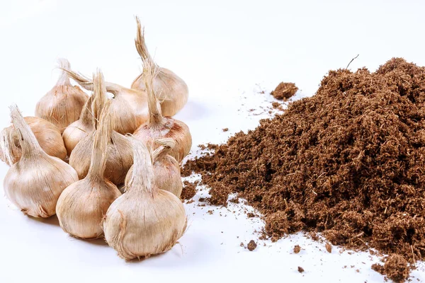 Pile of fertile soil and saffron bulbs on a white background. Planting crocus bulbs. — Stock Image Pile Fertile Soil Saffron Bulbs White Background Planting Crocus Bulbs Royalty Free Stock Images