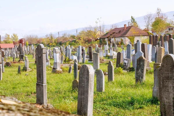 Uzhhorod Ukrayna Ekim 2020 Ukrayna Daki Eski Yahudi Mezarlığı — Stok fotoğraf