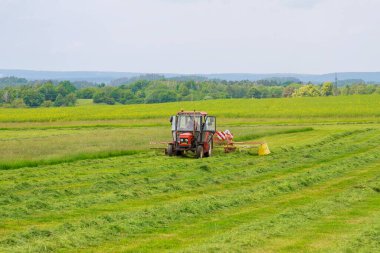 Skutech, Çek Cumhuriyeti, 4 Haziran 2020: Döner tırmıklı küçük bir traktör tarlada taze kesilmiş çimenleri tırmıkladı.