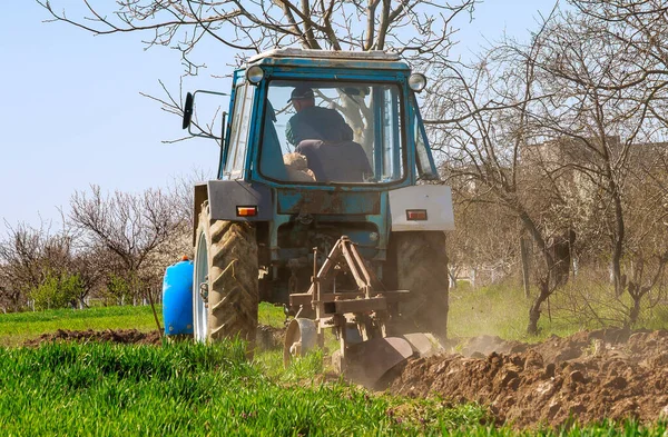 Farmář v modrém traktoru připravuje půdu s pluhem k setí — Stock fotografie