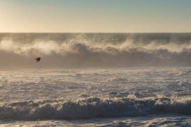 Atardecer en playa Buchupureo, Regin del Bio Bio, Şili.