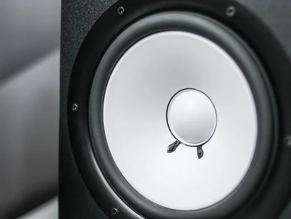 Gri ve beyaz tonlu müzik yapımcısı konisi