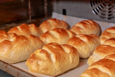 Sütlü ekmek geleneksel bir şekilde fırında pişiriliyor ve kahverengileştiriliyor. Ekşi ekmek ve tereyağlı el yapımı.