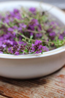 Taze, daha yeni toplanmış kekik masada yatıyor. Bitkisel ilaç. Bitkisel ilaçlar. Şifalı bitkiler. Organik baharat. Yakın çekim, üst görünüm