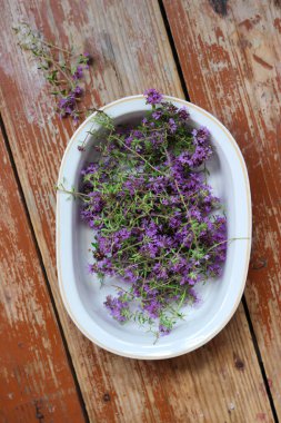 Taze, daha yeni toplanmış kekik masada yatıyor. Bitkisel ilaç. Bitkisel ilaçlar. Şifalı bitkiler. Organik baharat. Rustik stil, yakın çekim, üst görünüm