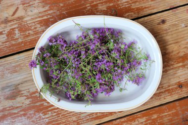 Taze, daha yeni toplanmış kekik masada yatıyor. Bitkisel ilaç. Bitkisel ilaçlar. Şifalı bitkiler. Organik baharat. Rustik stil, yakın çekim, üst görünüm