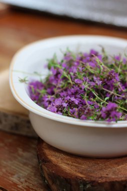 Taze, daha yeni toplanmış kekik masada yatıyor. Bitkisel ilaç. Bitkisel ilaçlar. Şifalı bitkiler. Organik baharat. Rustik stil, yakın çekim, üst görünüm
