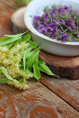 Taze, daha yeni toplanmış kekik masada yatıyor. Bitkisel ilaç. Bitkisel ilaçlar. Şifalı bitkiler. Organik baharat. Rustik stil, yakın çekim, üst görünüm