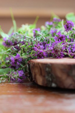 Taze, daha yeni toplanmış kekik masada yatıyor. Bitkisel ilaç. Bitkisel ilaçlar. Şifalı bitkiler. Organik baharat. Rustik stil, yakın çekim, üst görünüm