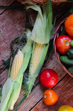 Koçanlarda mevsimlik mısırlar, Domatesler ve Salatalıklar Tahta Masada Yatıyor, Yaz Titreşimleri, Kırsal Yaşam Tarzı