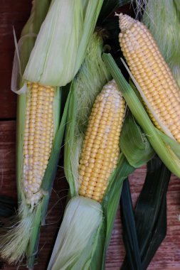 Güzel, lezzetli mısır koçanları ahşap masada yatıyor.