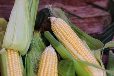 Güzel, lezzetli mısır koçanları ahşap masada yatıyor.