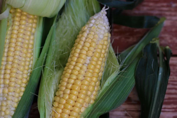 Güzel, lezzetli mısır koçanları ahşap masada yatıyor.