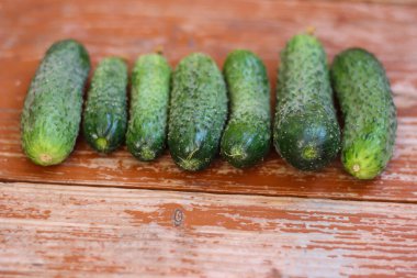 Güzel organik sulu salatalıklar ahşap masaya diziliyor, yaz hediyeleri ve titreşimler.