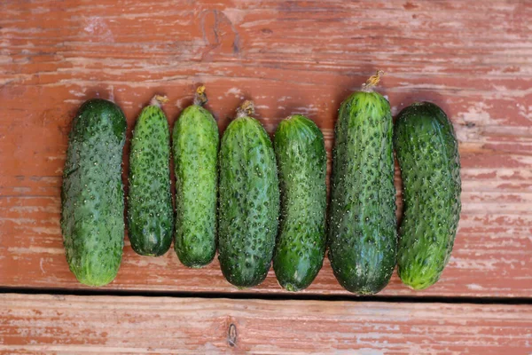 Güzel organik sulu salatalıklar ahşap masaya diziliyor, yaz hediyeleri ve titreşimler.