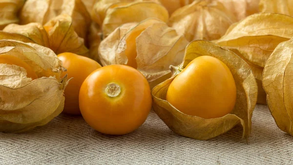 Golden berries or physalis fruit closeup