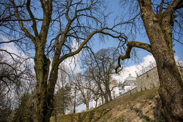 Castle Hotel Ormanı Galicia Nueva