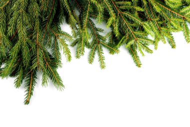 Beyaz dallarla süslenmiş Noel çerçevesi