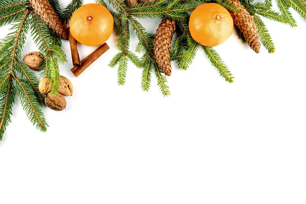 Dal, koni ve turunçgillerden yapılmış Noel çerçevesi beyaza izole edilmiş.