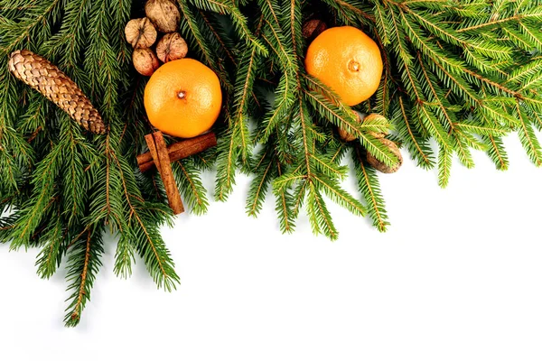 Dal, koni, ceviz ve turunçgillerden yapılmış Noel çerçevesi beyaza izole edilmiş.