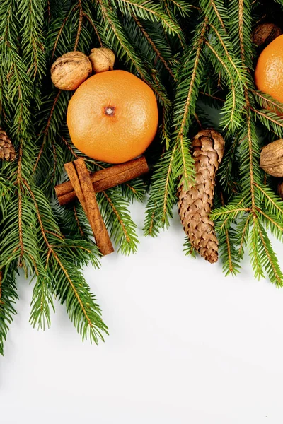 Dal, koni, ceviz, tarçın ve turunçgillerden yapılmış Noel çerçevesi beyaza izole edilmiş.